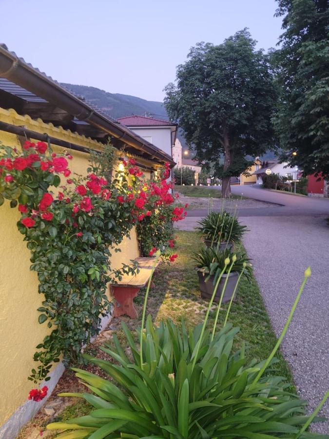 Pension & Ferienwohnung Dullnig Гмюнд Экстерьер фото