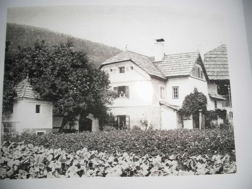 Pension & Ferienwohnung Dullnig Гмюнд Экстерьер фото
